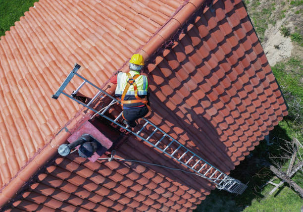 Best Roof Moss and Algae Removal  in Swartz, LA