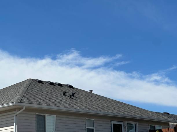 Best Cold Roofs  in Swartz, LA